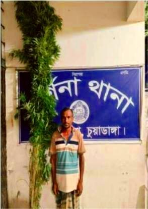 চুয়াডাঙ্গার শৈলমারি গ্রামে ৫২টি গাঁজার গাছসহ চাষি গ্রেফতার